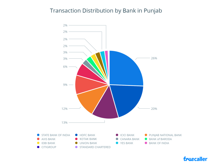 3. Transaction Distribution - Punjab